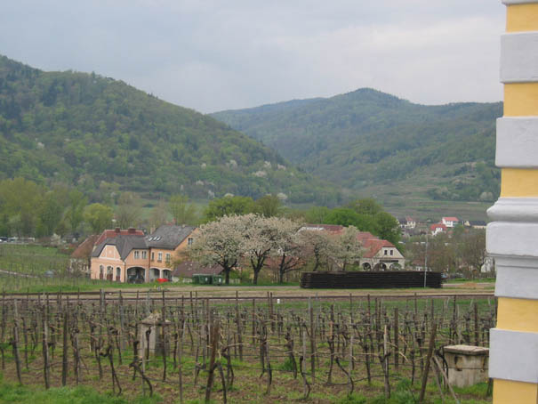 WeinfreundeWachau2005