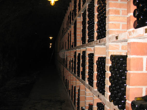 WeinfreundeWachau2005