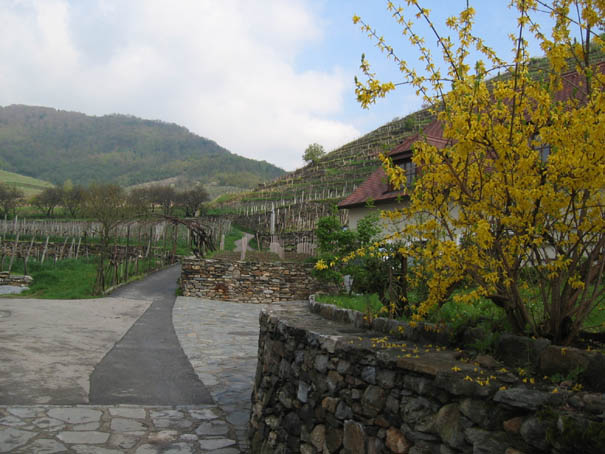 WeinfreundeWachau2005