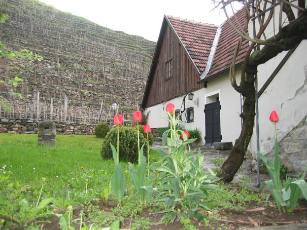 WeinfreundeWachau2005