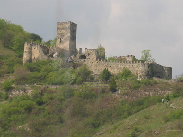 WeinfreundeWachau2005