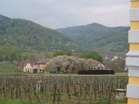 WeinfreundeWachau2005