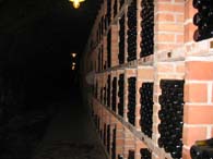 WeinfreundeWachau2005