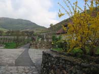 WeinfreundeWachau2005