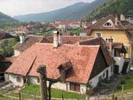 WeinfreundeWachau2005