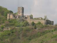 WeinfreundeWachau2005