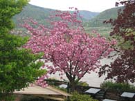 WeinfreundeWachau2005